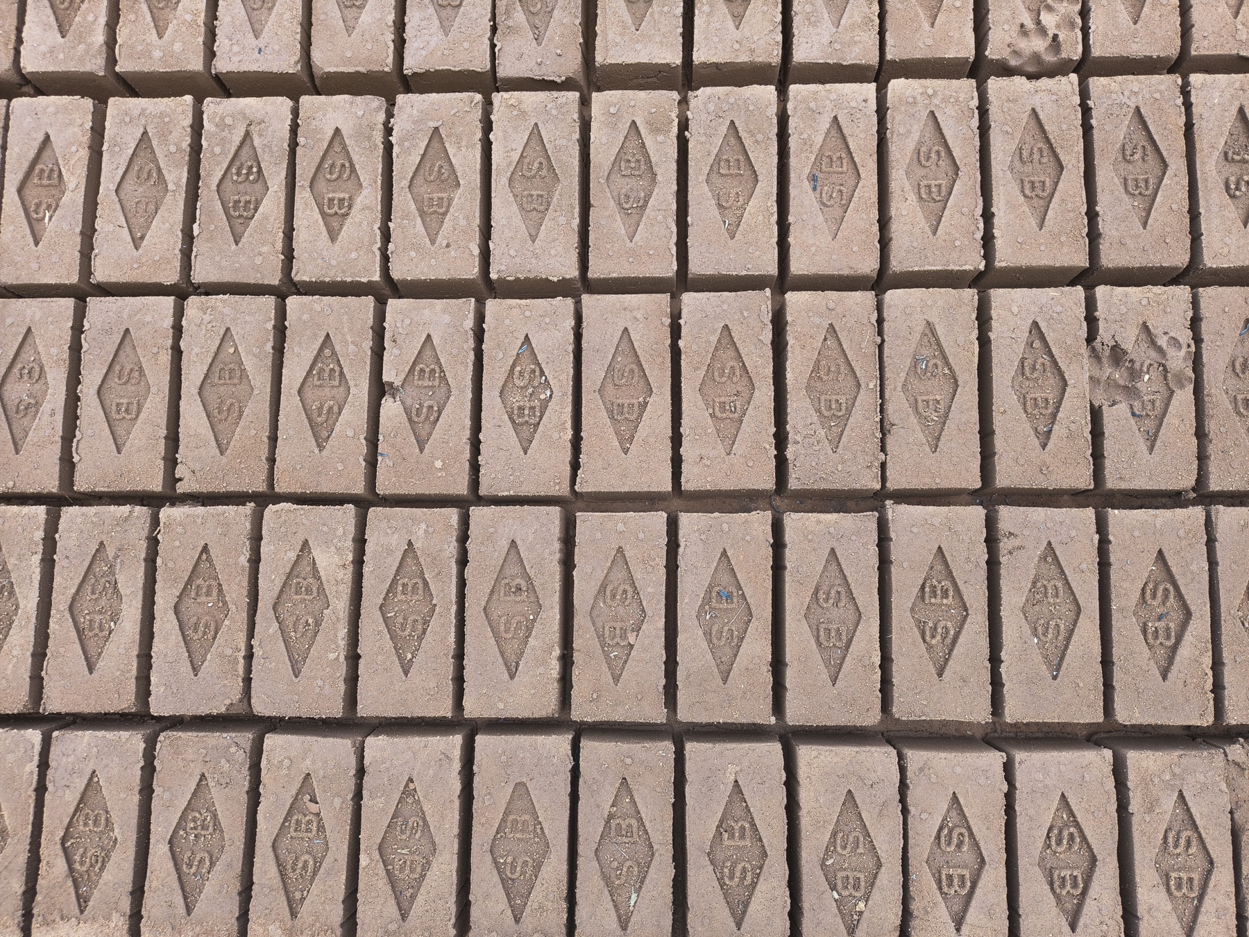 Overhead pattern of SB-embossed bricks laid to dry