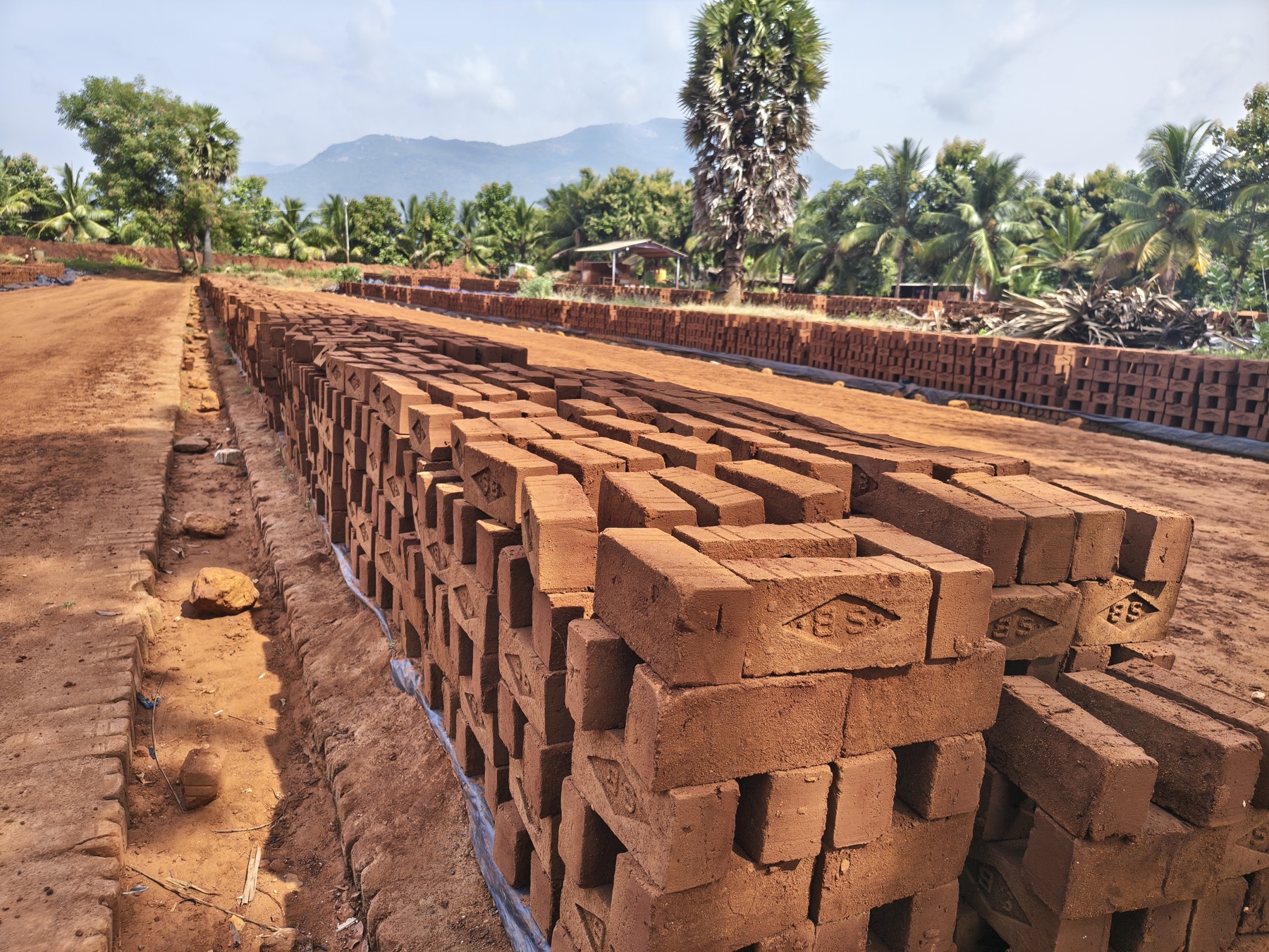 Long rows of freshly moulded bricks drying in the yard