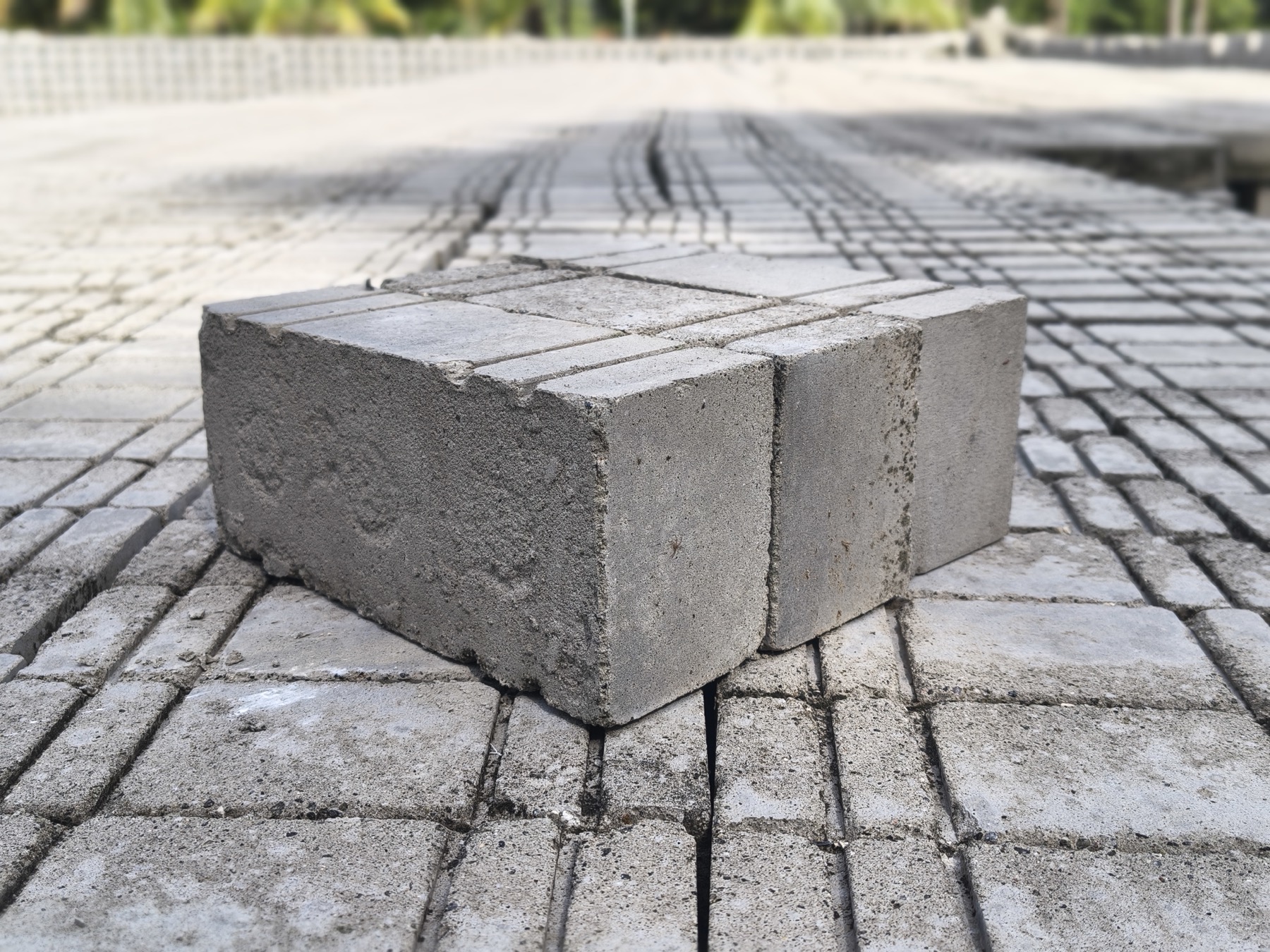 Fly-Ash Bricks (Limestone)